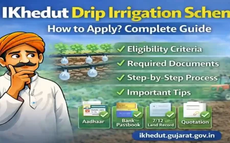 ડ્રિપ ઇરિગેશન યોજના 2026: ઓનલાઇન અરજી કેવી રીતે કરવી? જાણો સંપૂર્ણ પ્રોસેસ